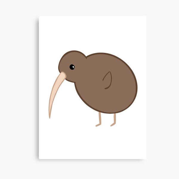 Kiwi bird Kiwi bird