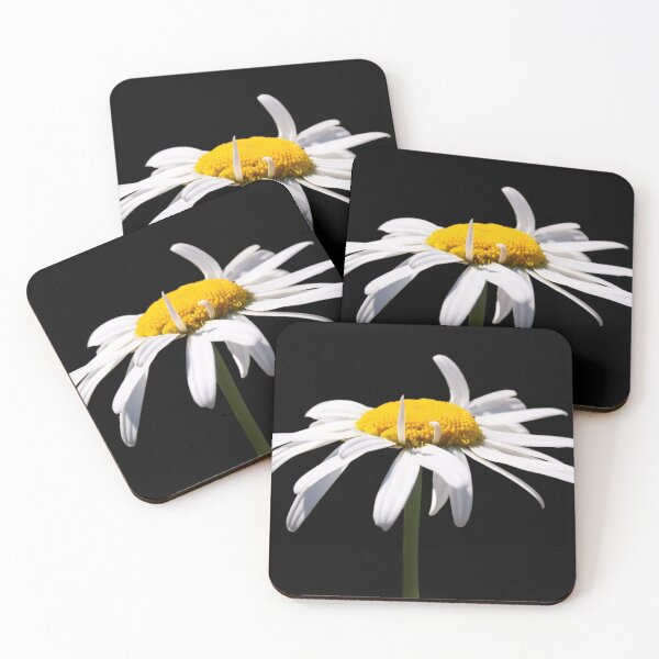 Item preview, Camomile on black background designed and sold by Shoshina.