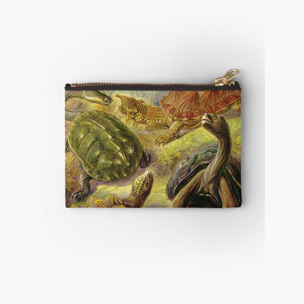 Item preview, Plate 89 Chelonia. The superorder of turtles and tortoises. designed and sold by Squirrox.