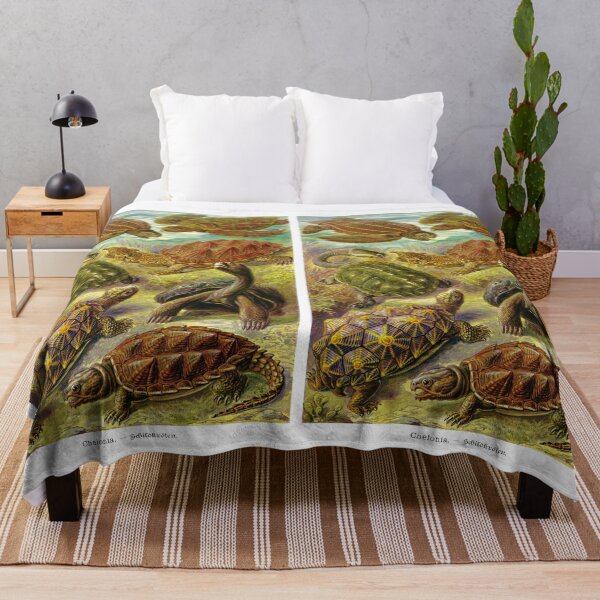 Item preview, Plate 89 Chelonia. The superorder of turtles and tortoises. designed and sold by Squirrox.