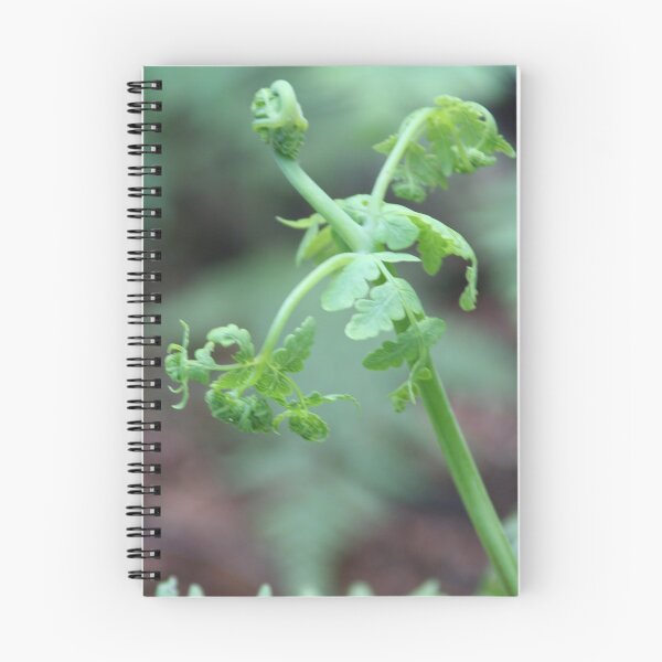 Item preview, Unfolding frond designed and sold by Leanne Davis.