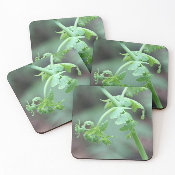 Item preview, Unfolding frond designed and sold by Leanne Davis.