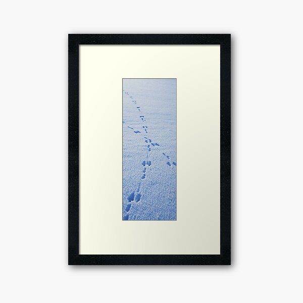 Crossing hare tracks Framed Art Print