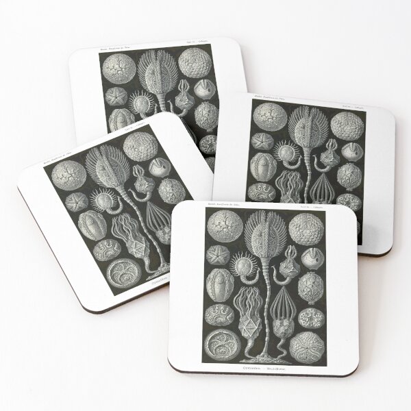 Item preview, Plate 90. Cystoidea, a grouping of extinct echinoderms. designed and sold by Squirrox.