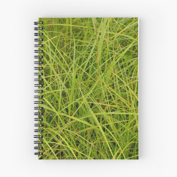 Item preview, green sedge background designed and sold by mrivserg.