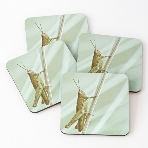 Item preview, GRASSHOPPER designed and sold by NICK COBURN PHILLIPS.