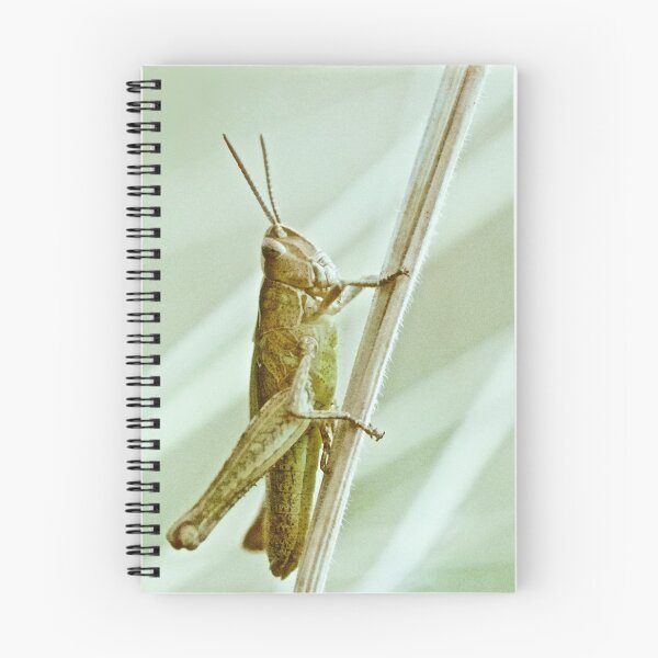 Item preview, GRASSHOPPER designed and sold by NICK COBURN PHILLIPS.