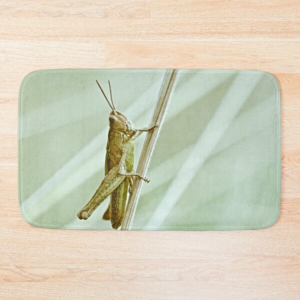 Item preview, GRASSHOPPER designed and sold by NICK COBURN PHILLIPS.