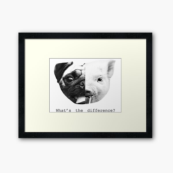 Pig/pug what’s the difference? Framed Art Print