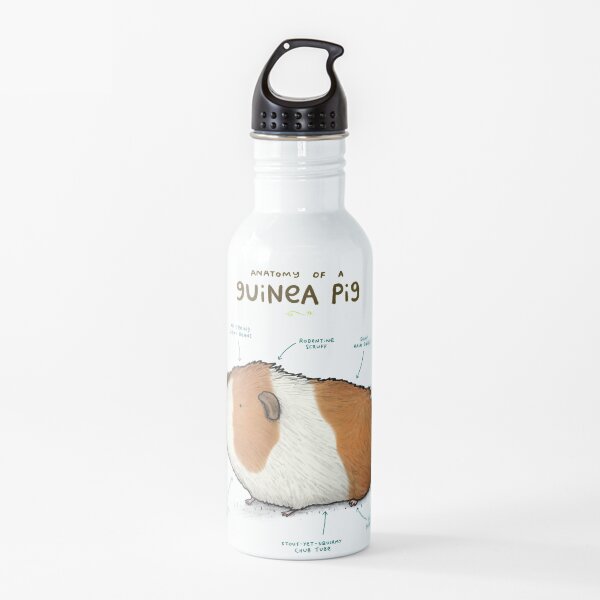 Anatomy of a Guinea Pig Water Bottle