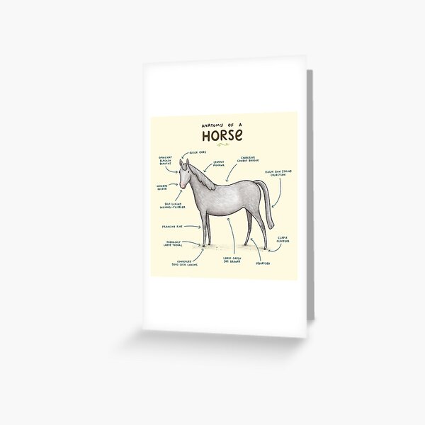 Shoehorse Pun / Horse shoe meme | Poster