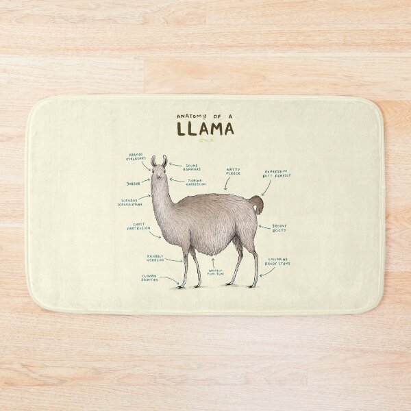 Item preview, Anatomy of a Llama designed and sold by SophieCorrigan.