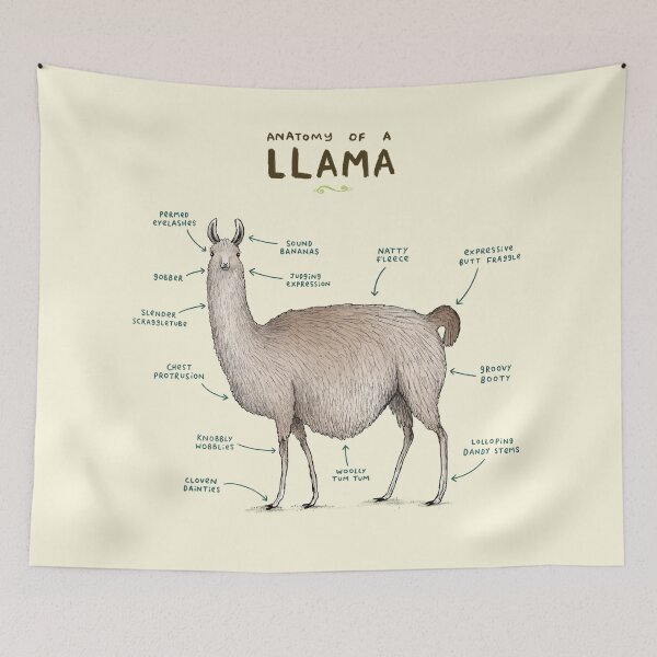 Item preview, Anatomy of a Llama designed and sold by SophieCorrigan.