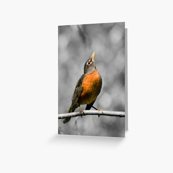 Enjoying the Sun Greeting Card