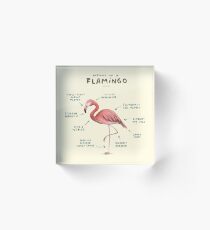Anatomy of a Flamingo Acrylic Block