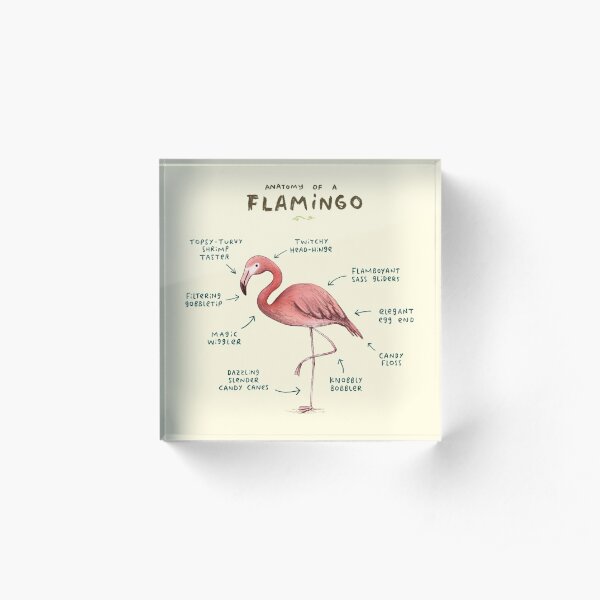 Flamingo Acrylic Blocks Redbubble - shrimp flamingo song roblox id free robux 2019 no human