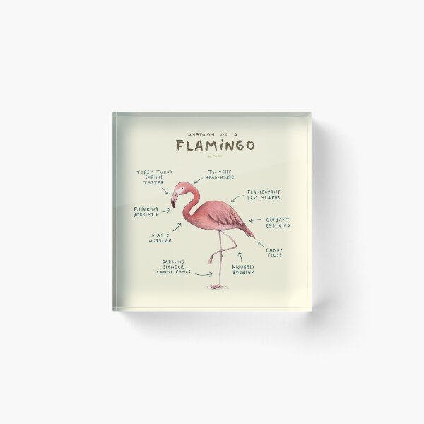 Item preview, Anatomy of a Flamingo designed and sold by SophieCorrigan.