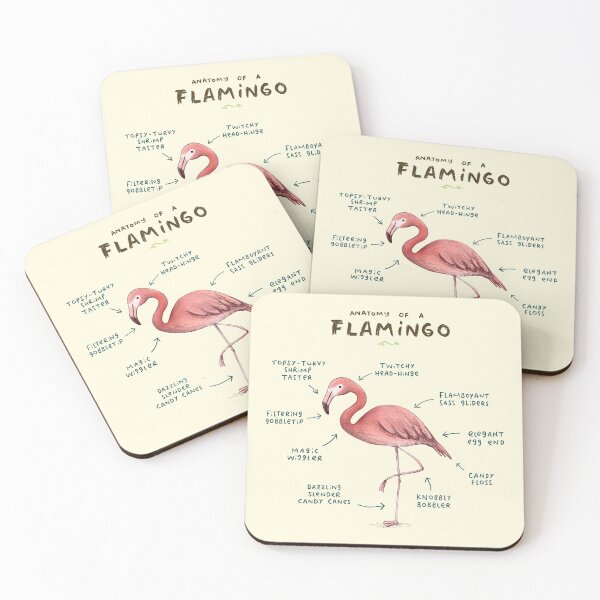Item preview, Anatomy of a Flamingo designed and sold by SophieCorrigan.