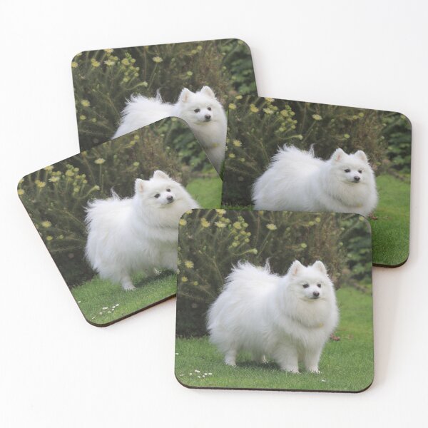 Item preview, Garden Spitz  designed and sold by KarenWoodArt.