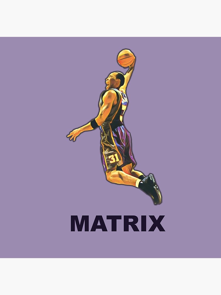shawn marion dunk
