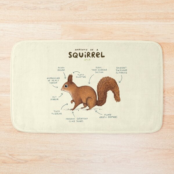 Item preview, Anatomy of a Squirrel designed and sold by SophieCorrigan.