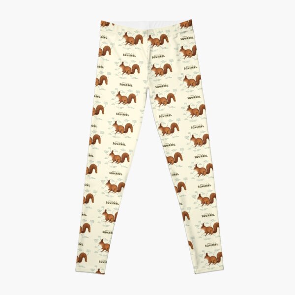 Anatomy of a Squirrel Leggings