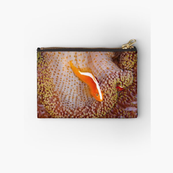 Item preview, Orange Anemonefish, Indonesia designed and sold by Erik Schlogl.