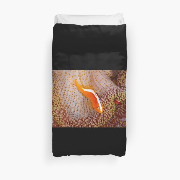 Orange Anemonefish, Indonesia Duvet Cover