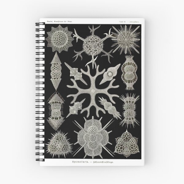 Item preview, Plate 91. Spumellaria, an order of (usually) solitary radiolarians. designed and sold by Squirrox.