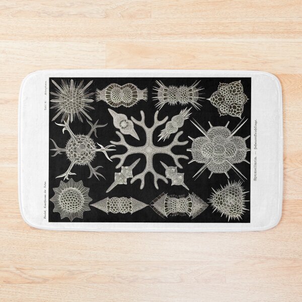 Item preview, Plate 91. Spumellaria, an order of (usually) solitary radiolarians. designed and sold by Squirrox.