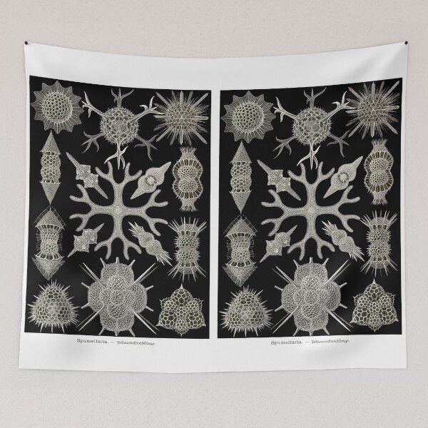 Item preview, Plate 91. Spumellaria, an order of (usually) solitary radiolarians. designed and sold by Squirrox.