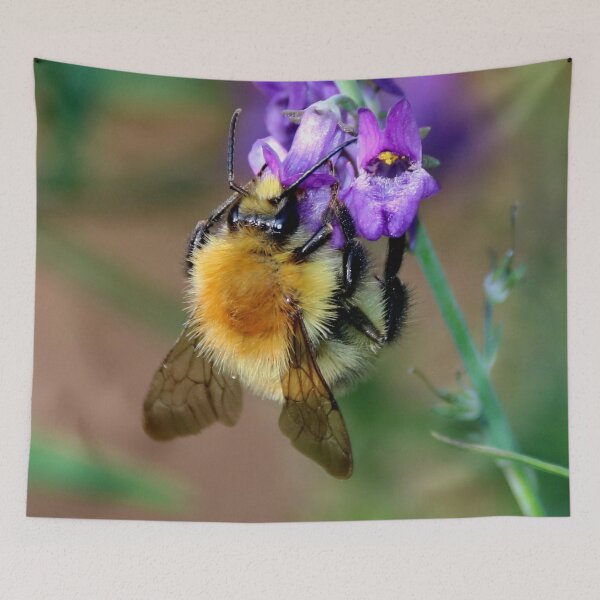 Item preview, Save Our Bees designed and sold by AnnDixon.