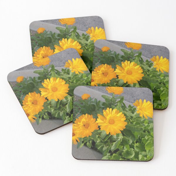 Item preview, A burst of Bright Orange! Bordertown, Rural country, Sth. Australia. designed and sold by RitaBlom.