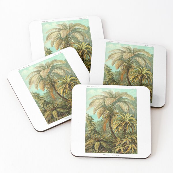 Item preview, Plate 92. Filicinae (now part of the class Polypodiopsida). designed and sold by Squirrox.