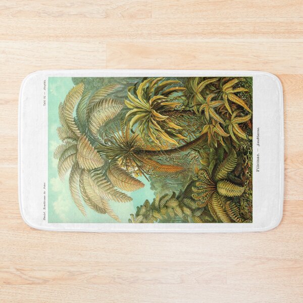 Item preview, Plate 92. Filicinae (now part of the class Polypodiopsida). designed and sold by Squirrox.