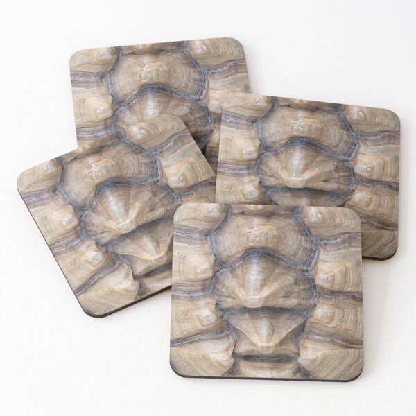 Item preview, Tortoise Shell designed and sold by Jennifer Michalski.