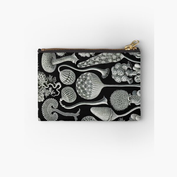 Item preview, Plate 93. Mycetozoa, a grouping of slime molds. designed and sold by Squirrox.