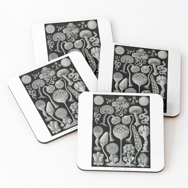 Item preview, Plate 93. Mycetozoa, a grouping of slime molds. designed and sold by Squirrox.