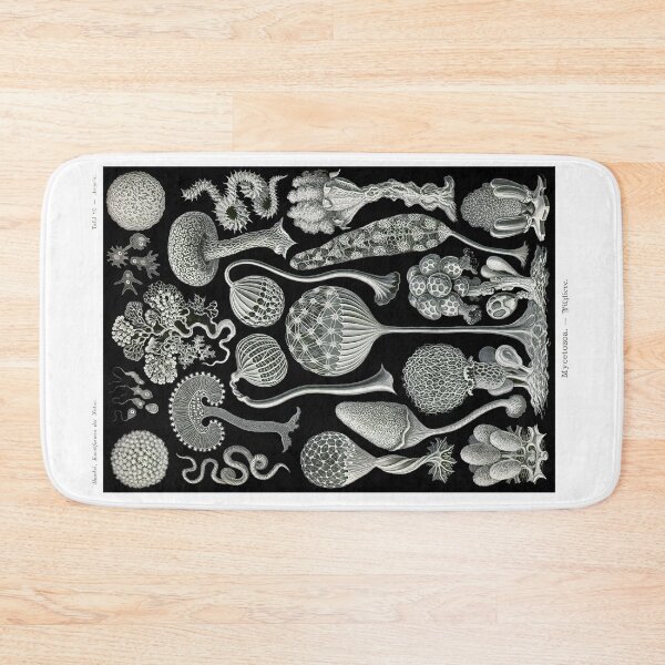 Item preview, Plate 93. Mycetozoa, a grouping of slime molds. designed and sold by Squirrox.