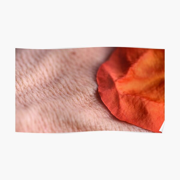Veins Poster
