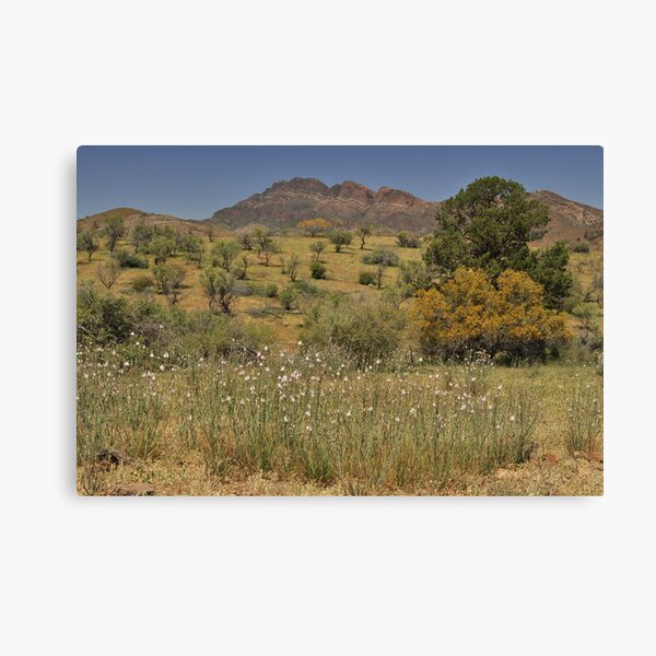 Item preview, The Moralana Scenic Route designed and sold by Terry Everson.