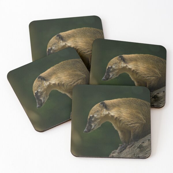 Item preview, Coati On A Tree designed and sold by rawshutterbug.