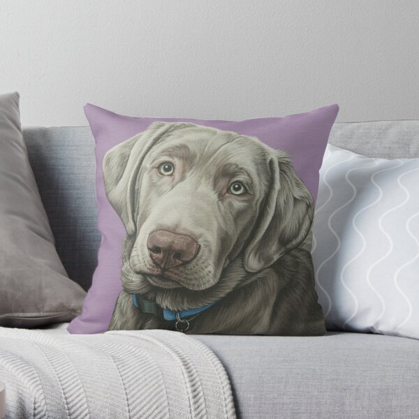 Dog pillows sales on sale