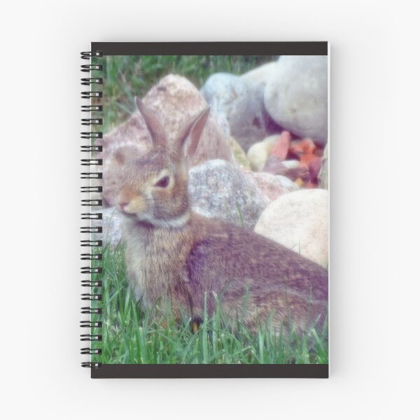 Item preview, Front Yard Bunny designed and sold by kkphoto1.