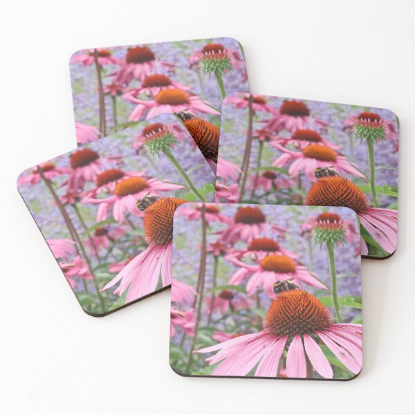 Item preview, Echinacea + Bee designed and sold by John Thurgood.