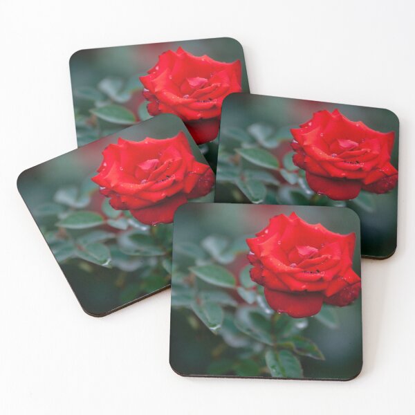 Item preview, Raindrops on Roses designed and sold by TKatzPhotos.
