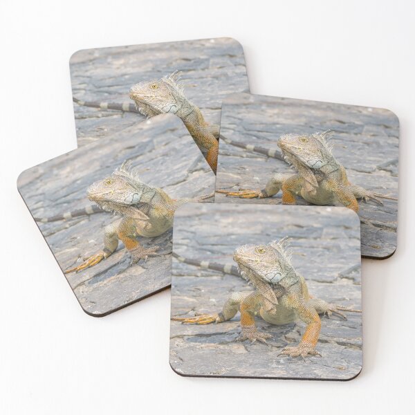 Item preview, Young Iguana designed and sold by DFLC Prints.
