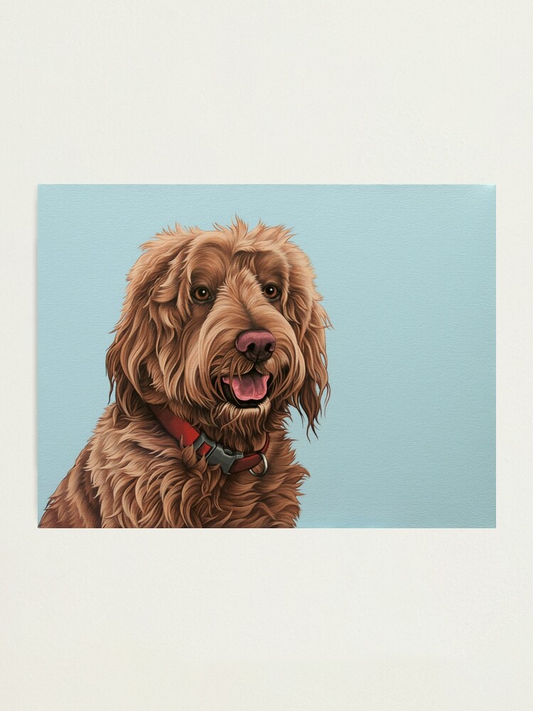 Smiling labradoodle sales