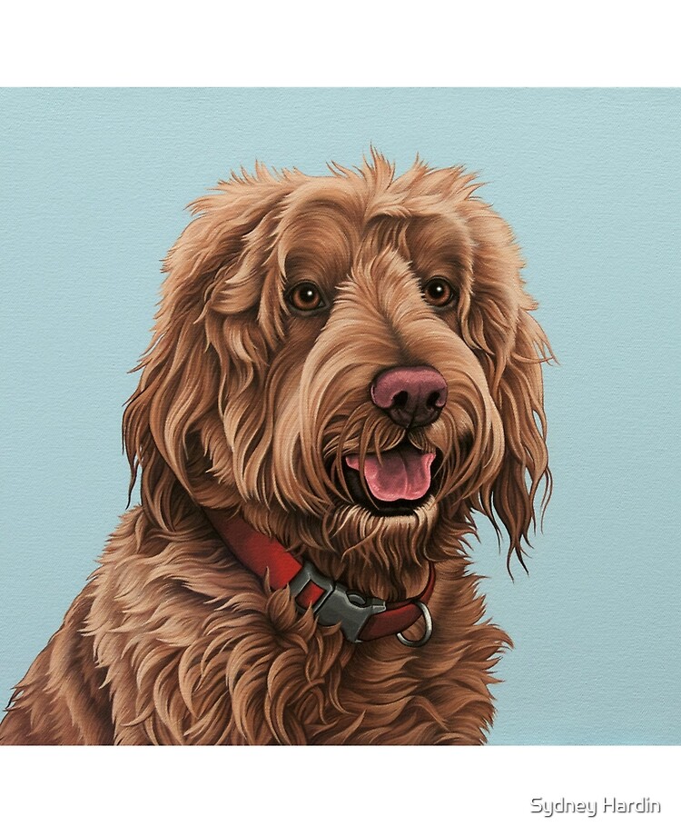 Labradoodle smile hot sale