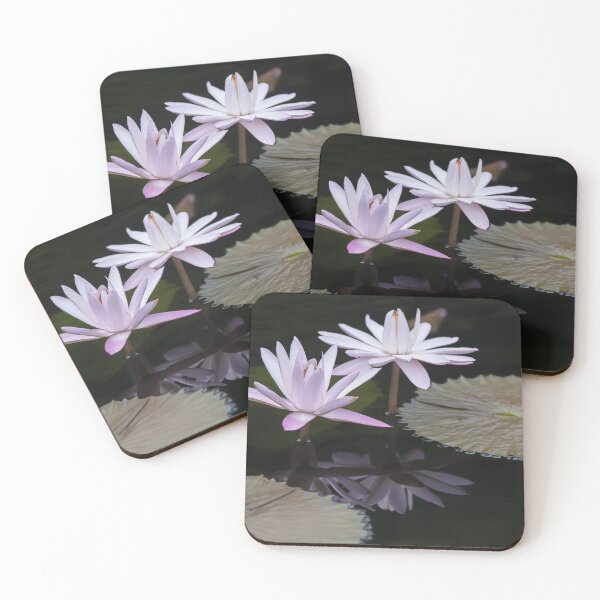 Item preview, Reflect designed and sold by TKatzPhotos.
